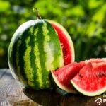 12 Wonderful Advantages Of Eating Watermelon Seeds For Your Health